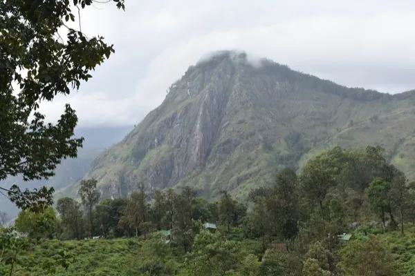 Climb Ella Rock